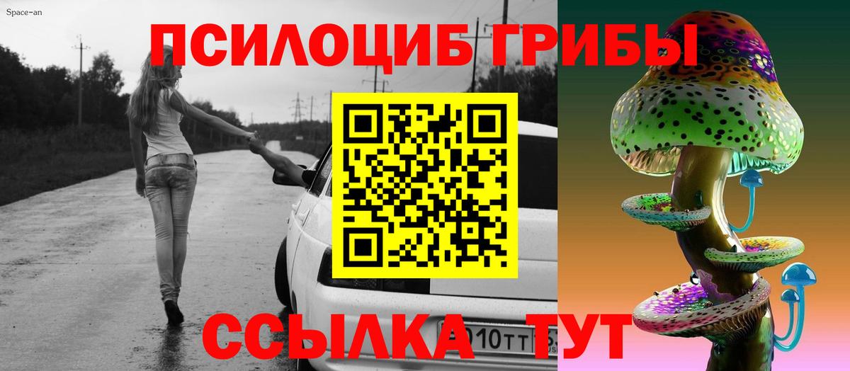 наркота  Вход с VPN  Будённовск  Галлюциногенные грибы MAGIC MUSHROOMS  Галлюциногенные грибы Magic Shrooms 